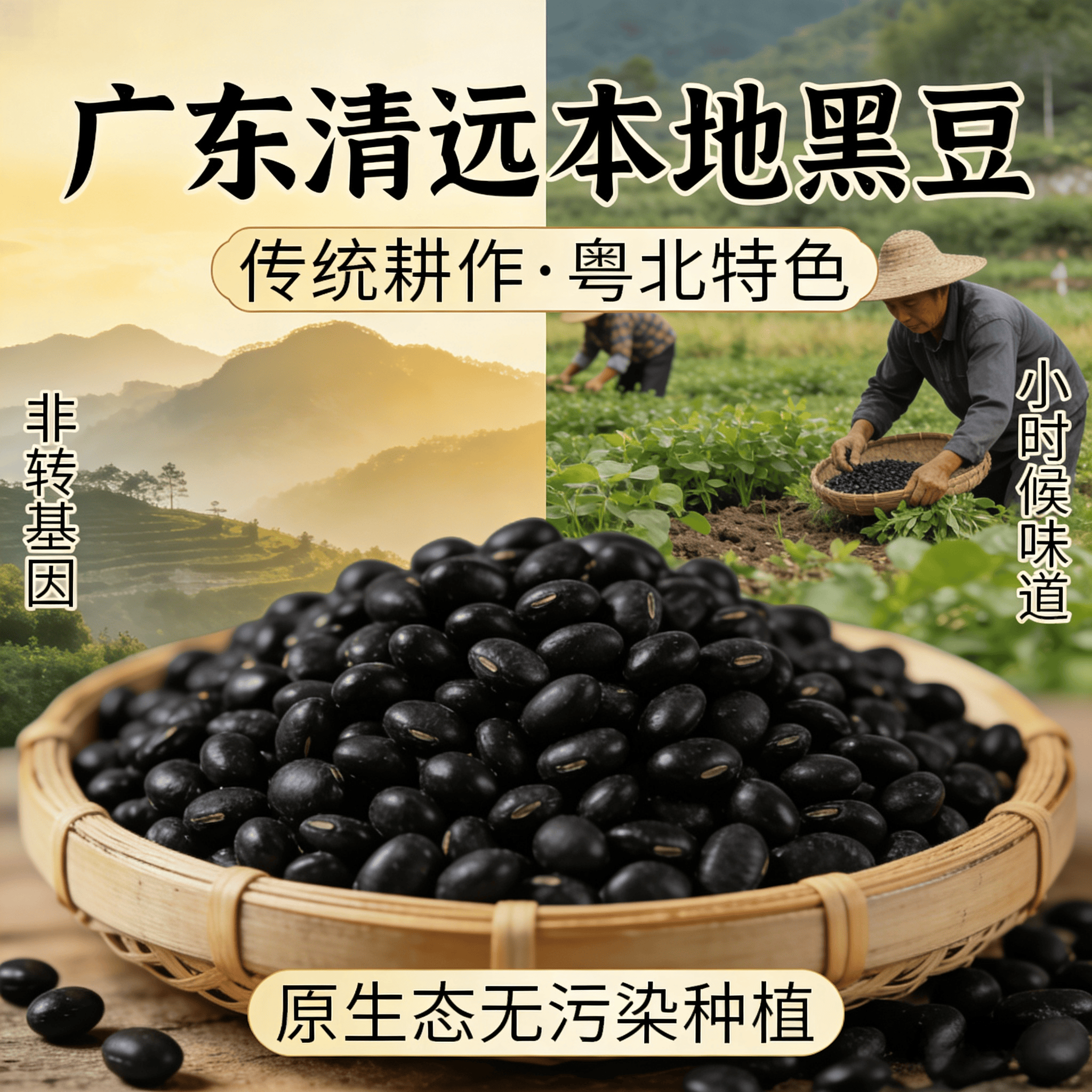 广东正宗岭南农家自种黄心绿芯小黑豆打豆浆专用非转基因当季新货