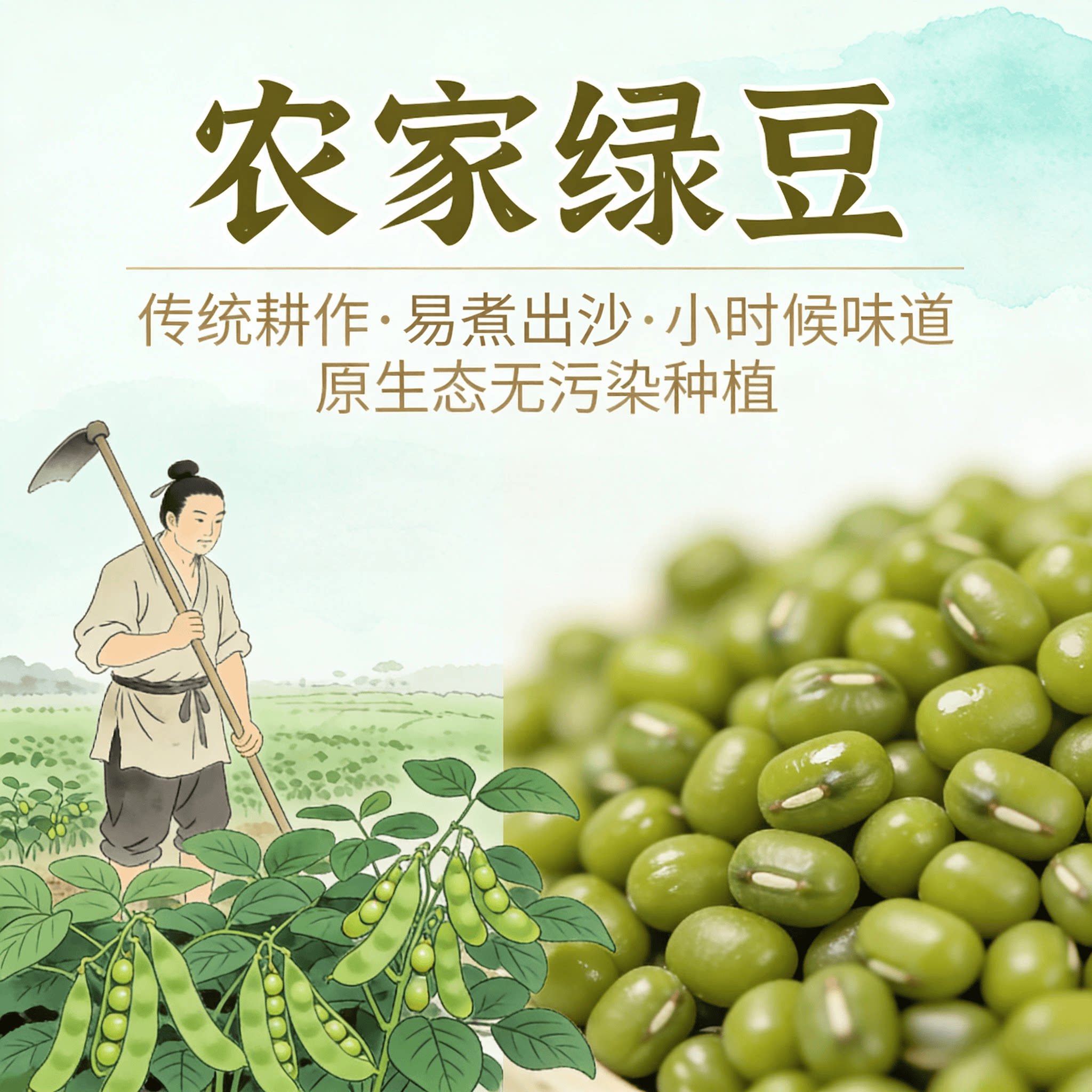 新货绿豆广东农家本地自种煲汤煲糖水绿豆粥冰沙糕点烘焙当季干货