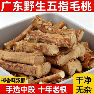 正宗野生五指毛桃根中药材搭土茯苓牛大力煲汤泡水椰香味浓郁新鲜