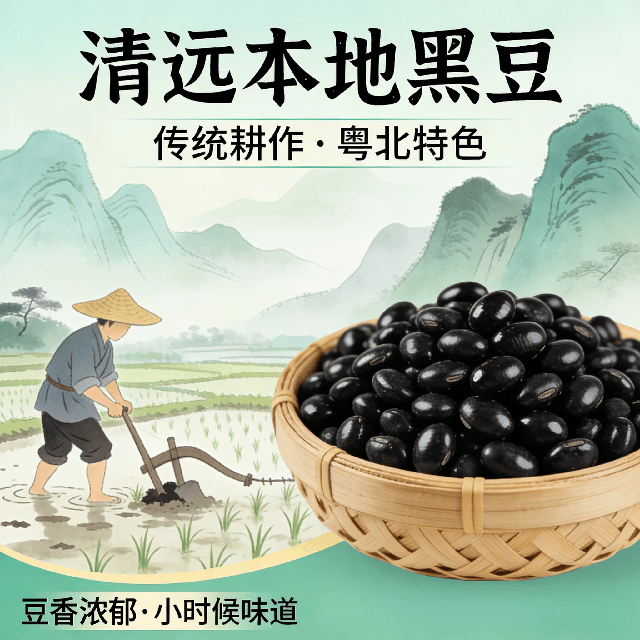 广东正宗岭南农家本地自种黄心绿芯黑豆打豆浆专用种子药用新干货图片