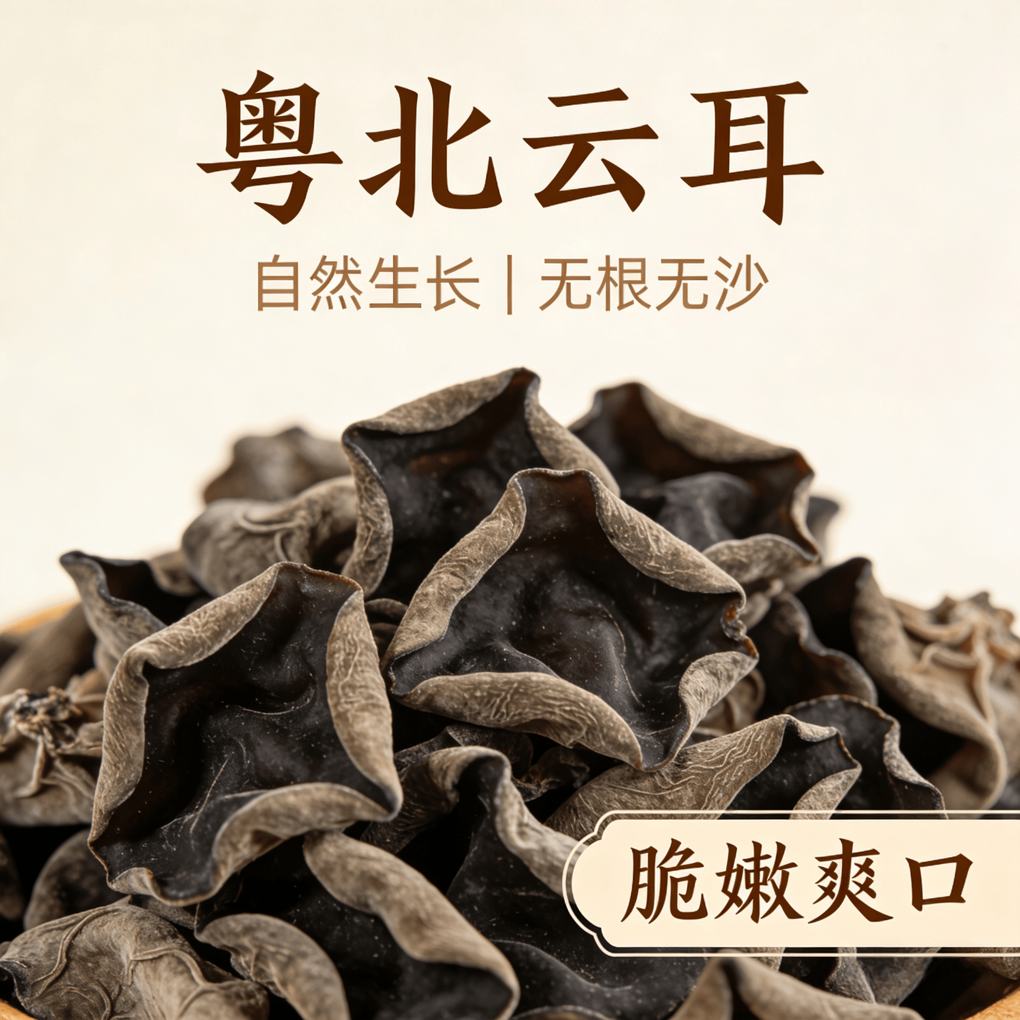 广东粤北云耳黑木耳当季采摘煲汤煲粥无沙山野正品新鲜干货无添加