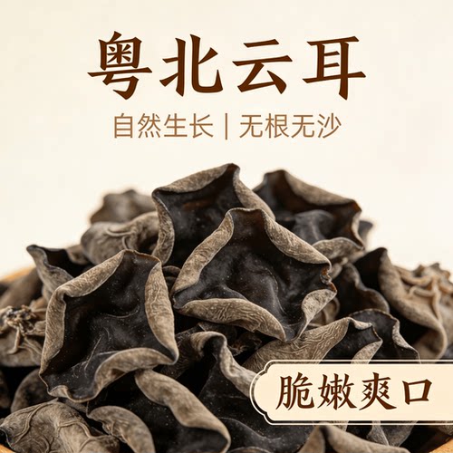 广东粤北高山云耳黑木耳当季采摘煲汤煲粥无硫沙山野正品新鲜干货