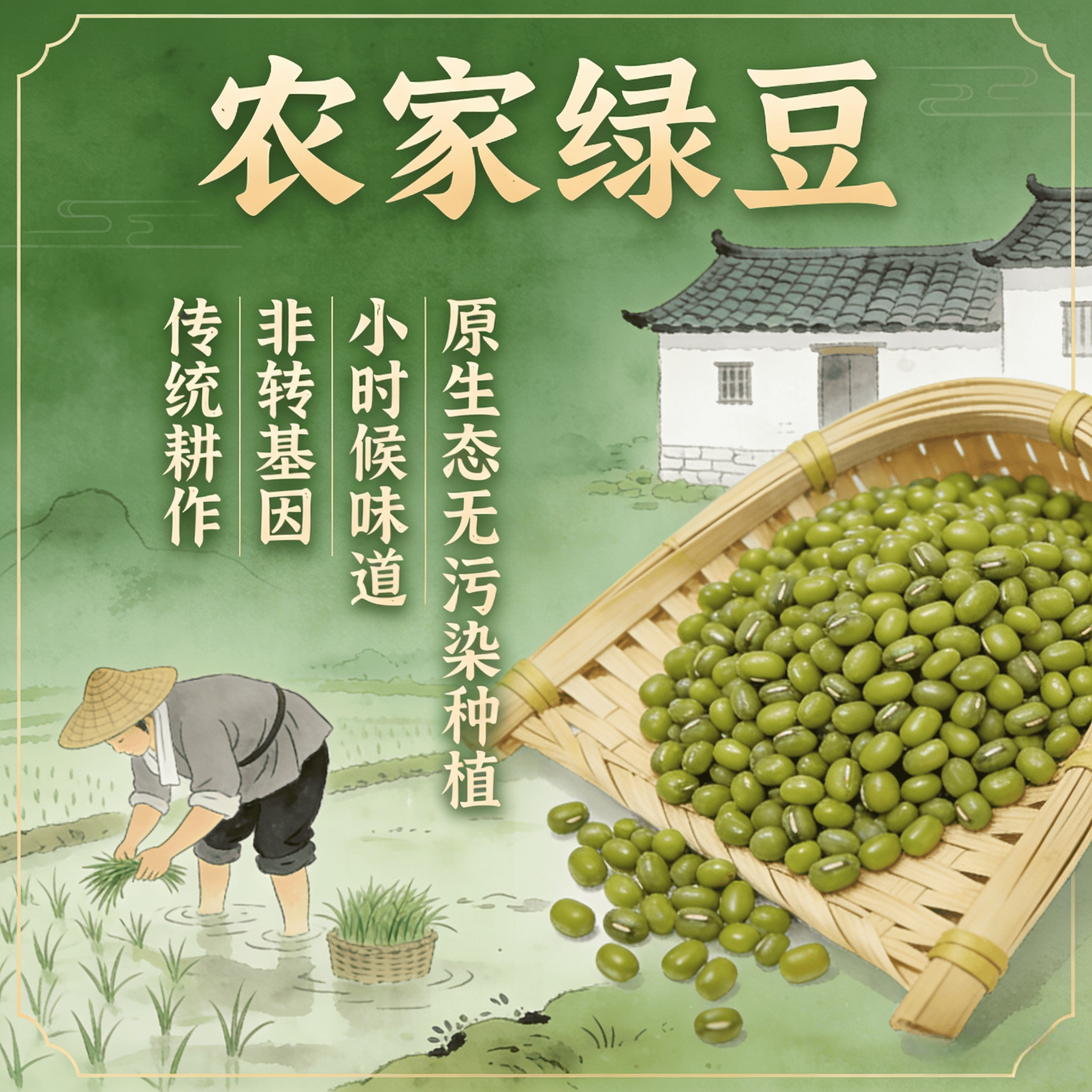 新货小绿豆农家自种新鲜非转基因绿豆煲汤煲糖水绿豆粥冰沙易出沙