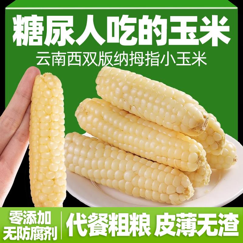 糖尿饼病人食品拇指小玉米早餐控无糖精专用孕妇糖友人粗粮主零食