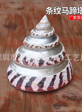 条纹马蹄塔螺天然大海螺贝壳红塔螺鱼缸造景装饰家居收藏摆件