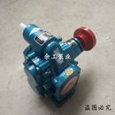 200铸铁齿轮油泵KCB 483.3 泊头齿轮泵KCB 300 135 960 633