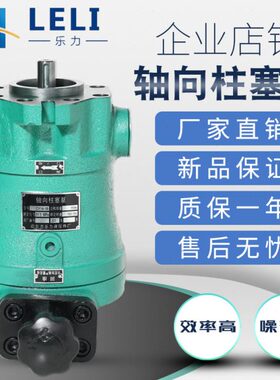 10.16.25.32.40.63.80.100.SCY14-1D直插式轴向柱塞泵电机组泵头