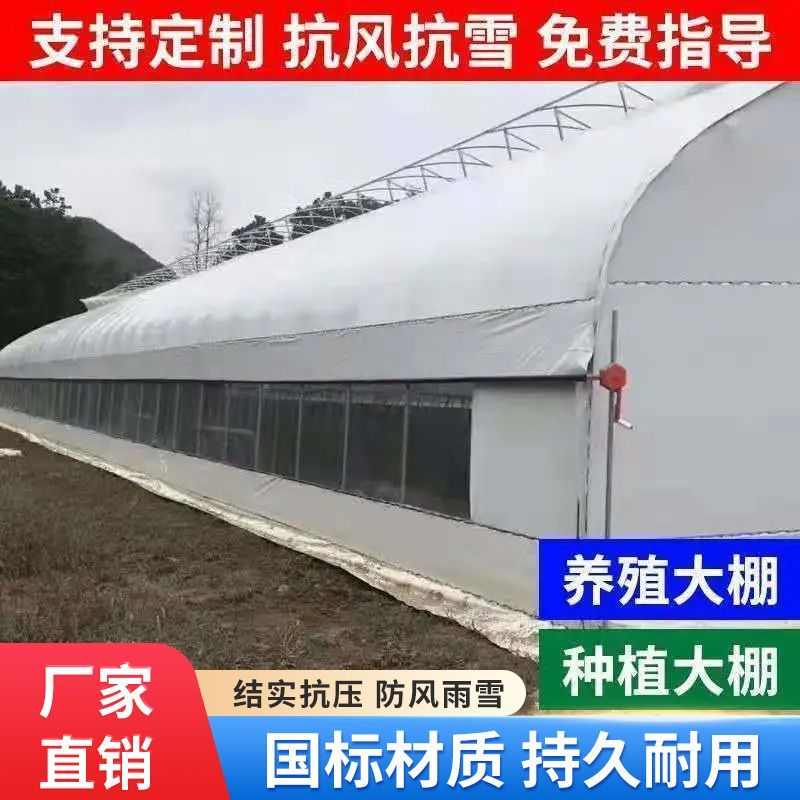 养殖大棚全套家用养鸡大棚专业养猪牛羊鸭L鹅防寒保暖一整套养殖