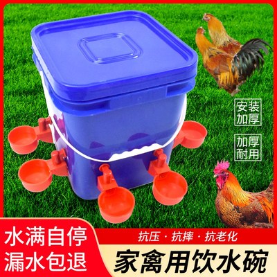 养鸡用自动饮水器 小鸡鸭鹅饮水碗 喝水碗鹌鹑家禽鸟雏鸡喂水神器