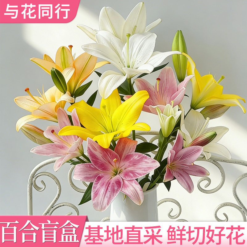 香水百合单瓣随机色云南基地直发室内家居节日送礼水培鲜花花束