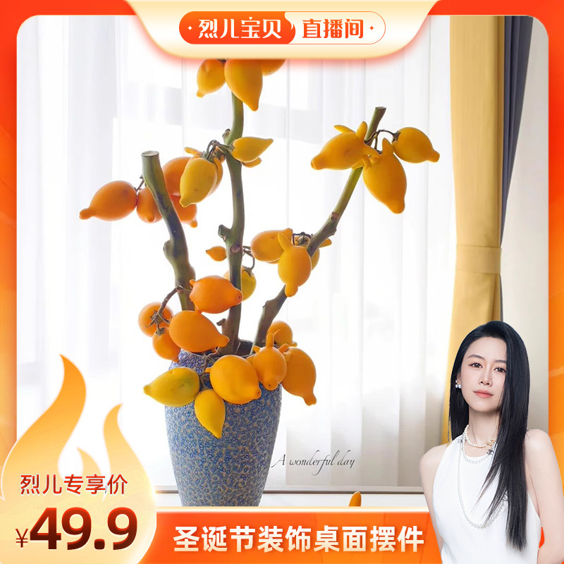 【烈儿宝贝直播间】【五代同堂黄金果】招财纳福云南直发鲜切枝