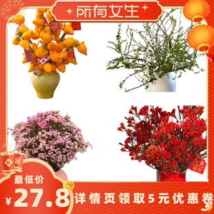 【所有女生直播间】腊梅雪柳五代同堂果 年宵 喜庆 昆明鲜切花