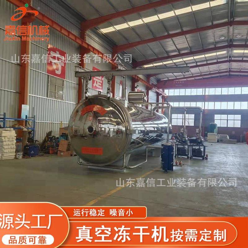 商用山楂片真空冻干机芒果菠萝干真空干燥机方舱卧式真空干燥机