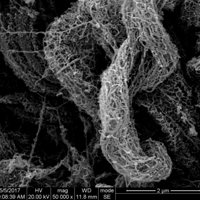 未官能团化/羟基化/羧基化 高纯度多壁碳纳米管  直径 -nm