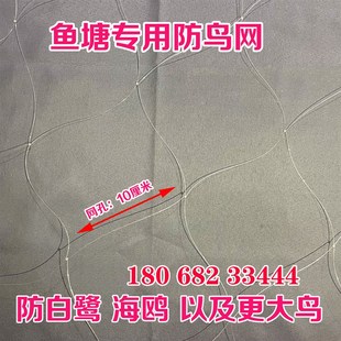 鱼塘防鸟网厘米大网眼尼龙综丝纱网防鸟用的网泥鳅螃蟹养殖天网