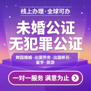 公证翻译无罪未婚单身结婚越南老挝使馆海牙服务留学申根游