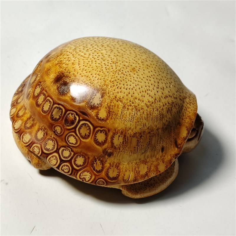 精品天然竹根雕刻龟壳长寿龟纯手工寓意好手把件文玩工艺品摆件