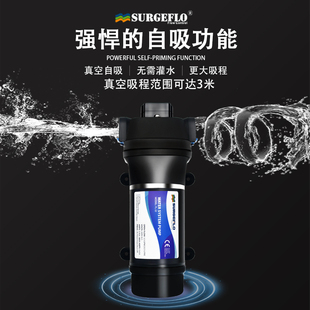 FL32家用自来水管道增压水泵热水器全自动开关220V电动静音隔膜泵
