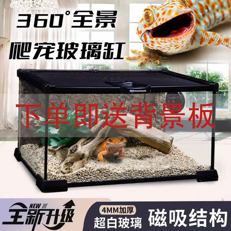 BG鬓狮蜥蜴饲养箱豹纹瘤尾守宫饲养盒爬宠玻璃超白生态缸雨林造景