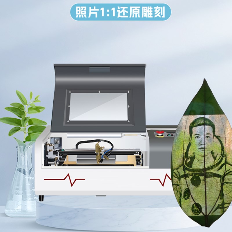小型摆摊叶子打印照片机器手机控制激光雕刻机全自动叶雕机设备