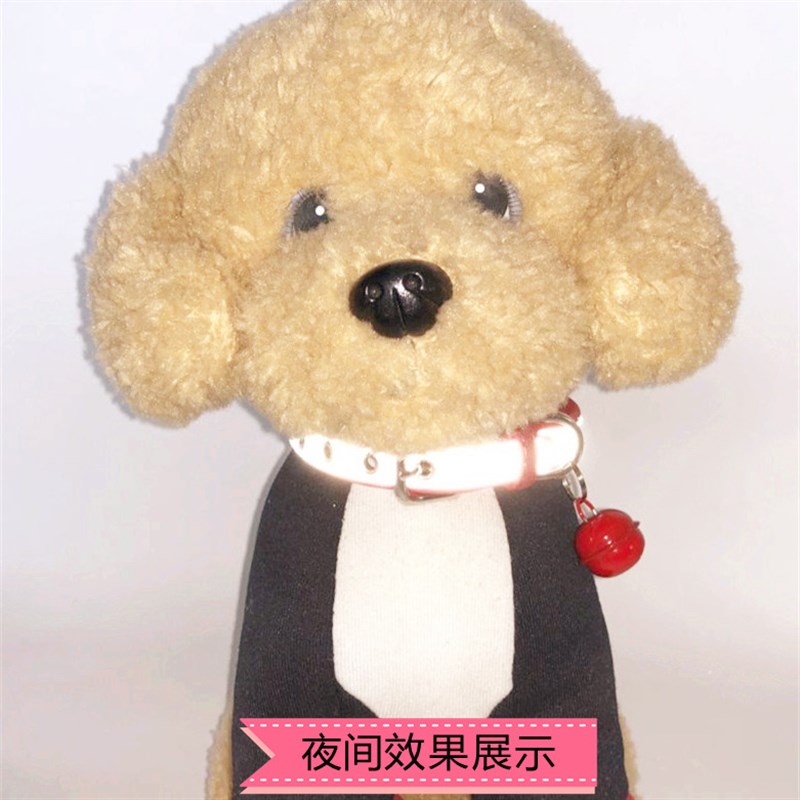 狗狗项圈刻字防丢反光猫咪颈圈铃铛定制狗牌宠物小型犬中型犬脖圈