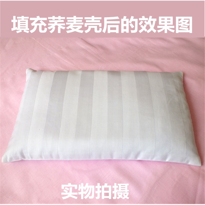 双层枕芯套内胆套拉链荞麦决明子枕头皮儿童成人双人抱枕靠枕