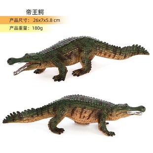 爬童认知仿真野h生儿行动物心型大鳄鱼帝王鳄塑胶实模玩具摆件礼