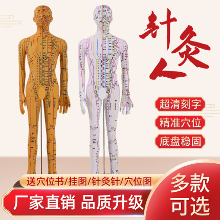 针灸穴位人体模型全身家用中医十二经络图小皮人硅胶扎.针练习铜