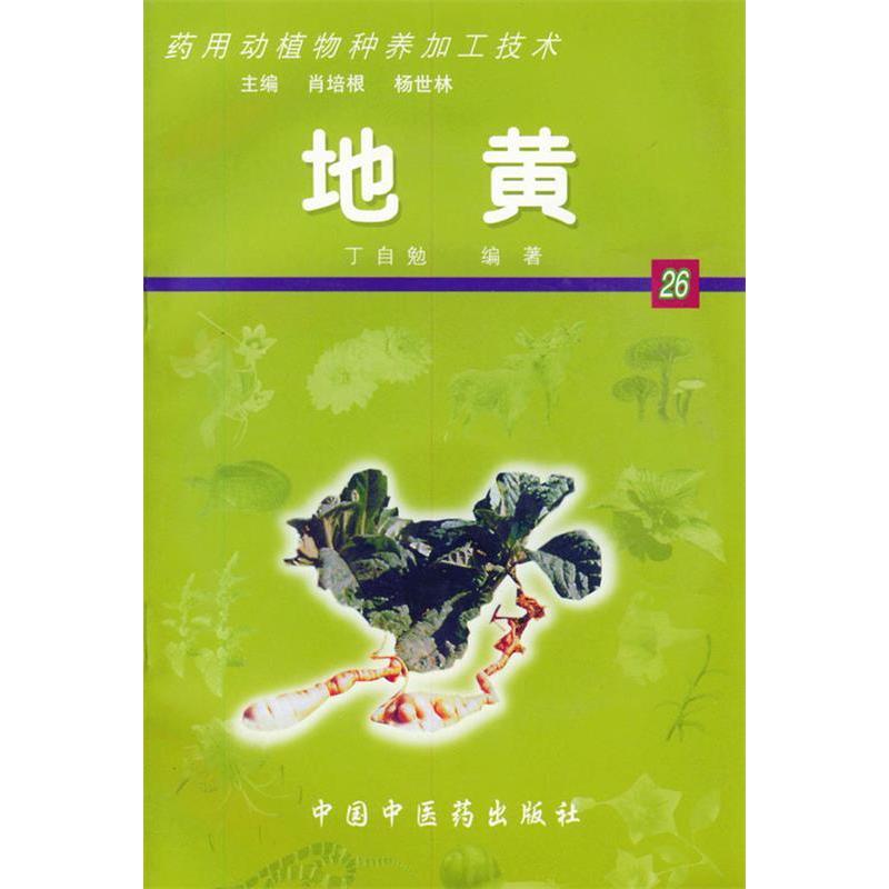 【正版包邮】 地黄&mdash;&mdash;药用动植物种养加工技术（含光盘一张） 丁自勉 中国中医药出版社