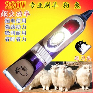 宠物推剪长毛兔电推剪 特利380大f功率电动羊毛剪380绒山羊电推剪
