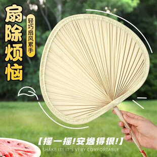 扇子夏季 扇子蒲扇老式 手工编织芭蕉扇纳凉儿童驱蚊家用随身便携