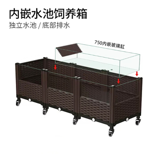 乌龟专用生态造景饲养缸养殖x箱家用养黄缘龟大型特大号水陆种植