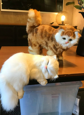 仿真猫咪动物模型家居摆件创意软B装装饰静态模型小猫玩偶摄影道