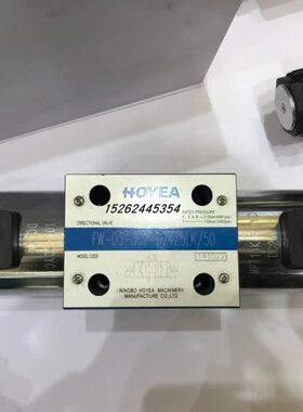 HOYEA电磁阀FW-03-2B2-D24Z5LK/50 FW-03-2B3/2B8/2B2L/2B3L/2B8L