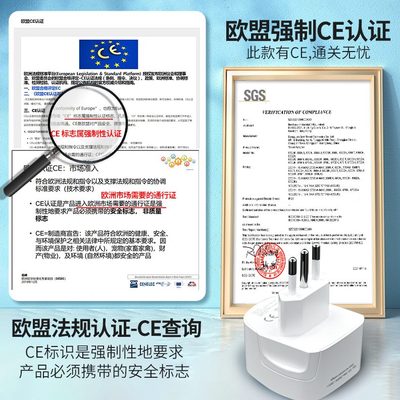 库亚罗马转换插头电源圭叙利巴乌转换器智利拉意标意大利标