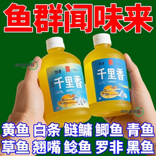 钓鱼小药黑坑野钓鲫鱼鲤鱼通用秋冬夏开口鱼饵料诱鱼剂千里香专用
