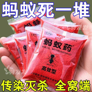 强效 蚂蚁药全窝端家用非无毒室内厨房户外菜地灭蚁一窝灭蚁粉