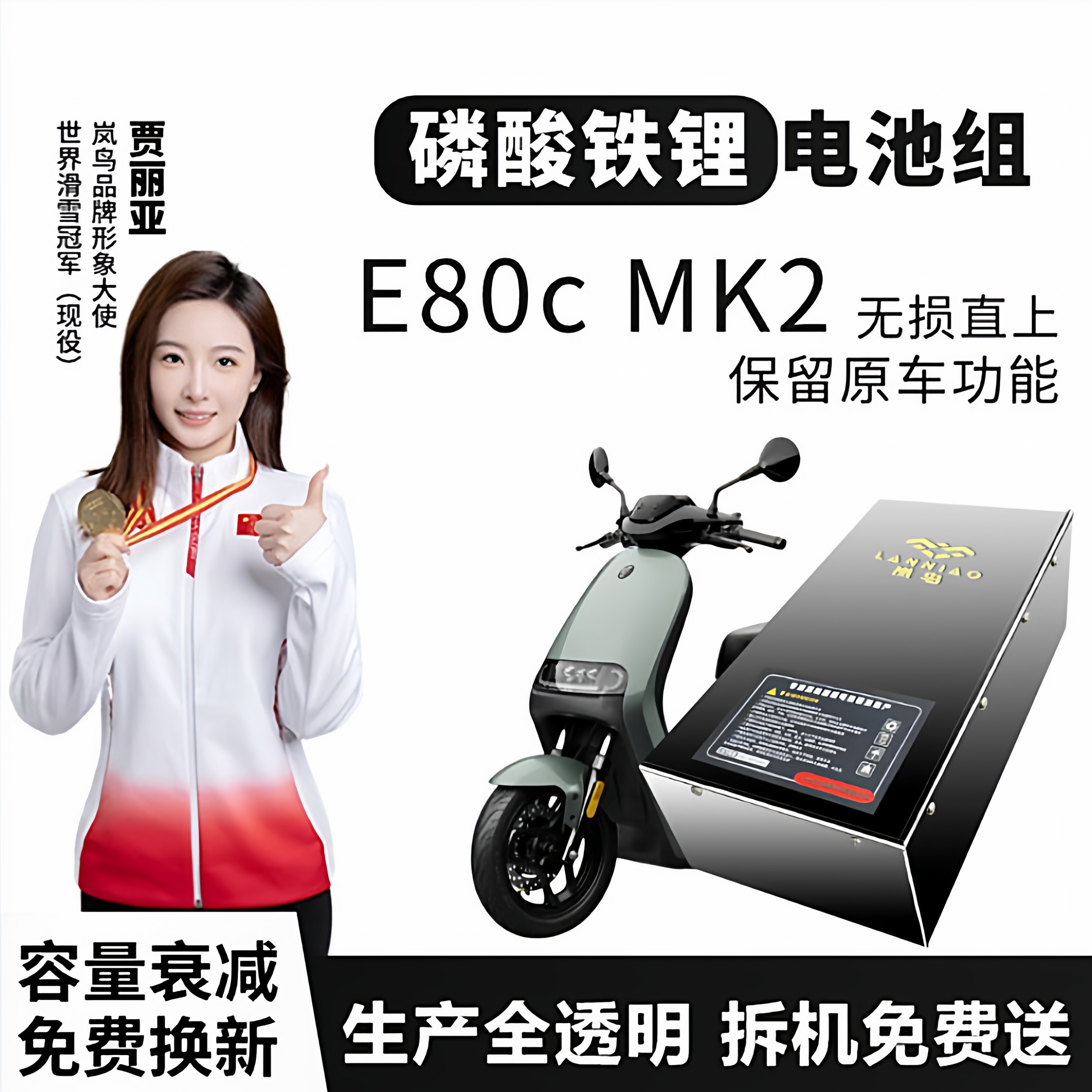 九号电动车A系磷酸铁锂电池