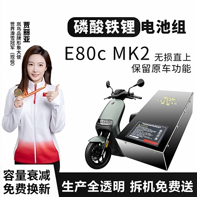 九号电动车A系磷酸铁锂电池