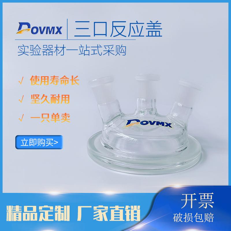 生产玻璃仪器反应器各种规格实验室耗材玻璃仪器