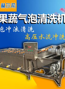 全自动高压喷淋清洗机气泡式清洗机价格洗菜机4米胡萝卜清洗机