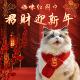 猫咪新年围巾宠物围脖红色保暖中国风口水巾围兜狗狗新年装 饰品