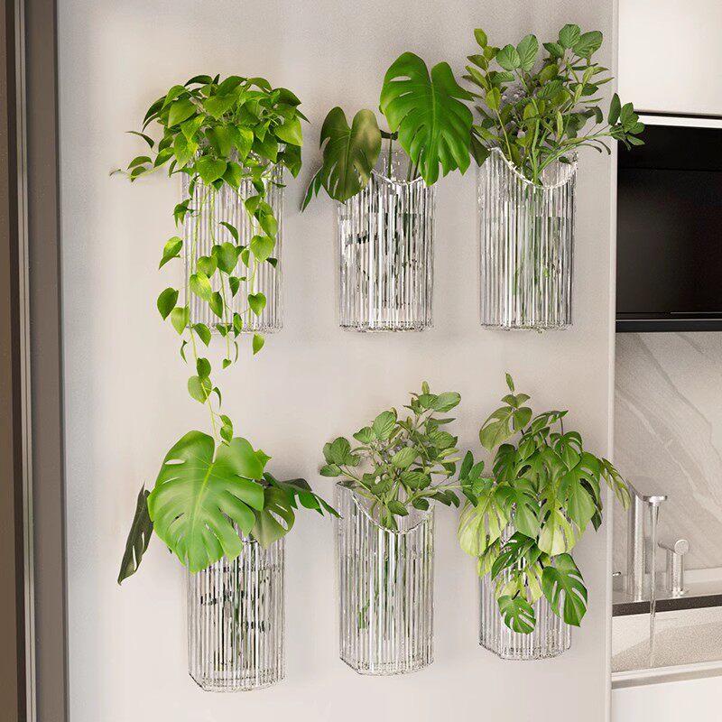 水培绿植花盆上墙吊兰绿萝植物置物架免打孔客厅家居装饰壁挂花瓶
