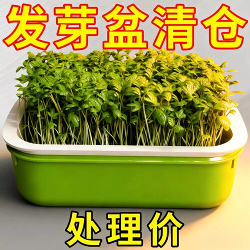 新款加大容量豆芽机家用盆栽种植速发豆芽神器环保级种植豆芽盆