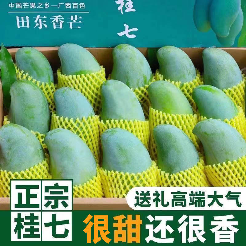 广西百色田东桂七芒果5/9斤新鲜应季水果老树果包邮