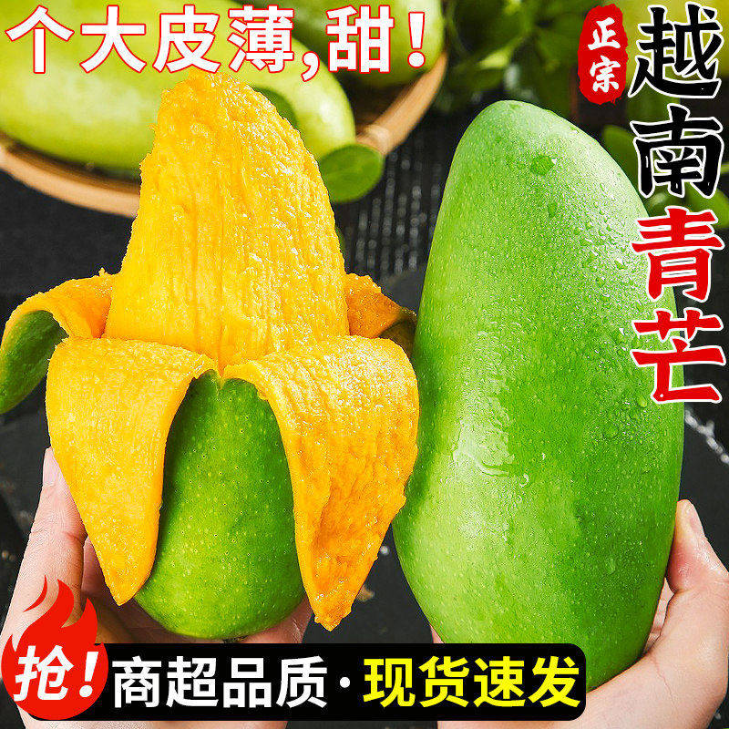 芒果越南大青芒大芒果水果新鲜整箱9斤当季包邮应季甜青皮芒果