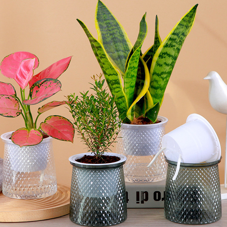 绿萝花盆自吸水透明塑料加仑水培懒人专用器皿盆栽桌面花盆植物花