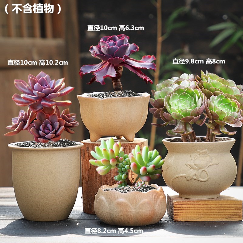 粗陶素烧清新陶瓷花盆创意禅意特色新款透气多肉植物套装组合包邮