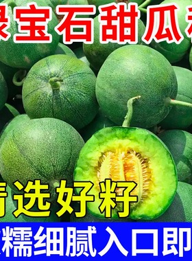 绿宝石甜瓜种籽大全正品羊角蜜种子春季四季蔬菜种孑香瓜种籽
