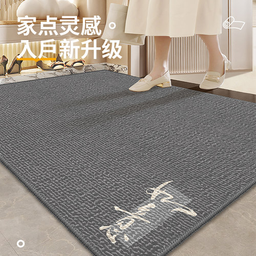 入户门地垫门厅进门家用地毯门口防滑耐脏门前脚垫室外.门垫可剪